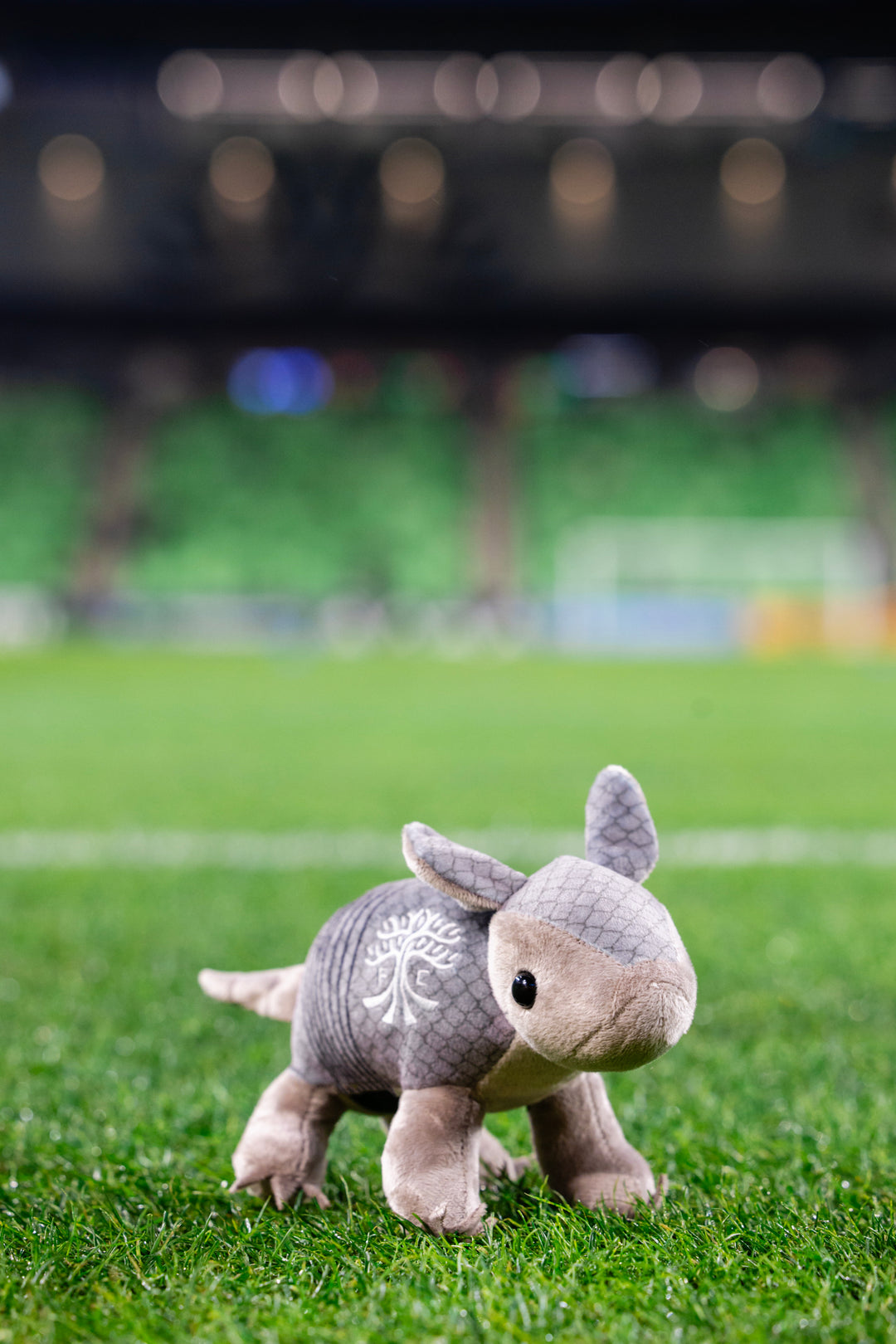 AUSTIN FC PLUSH ARMADILLO